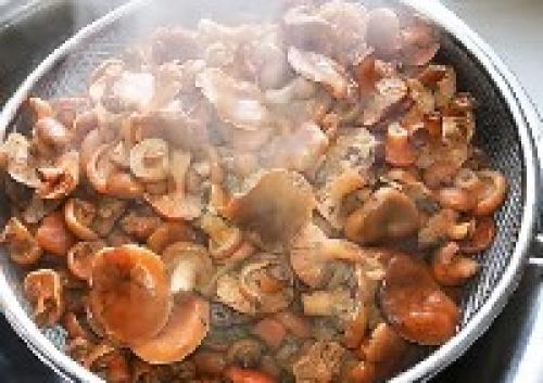 Засолка рыжиков горячим способом