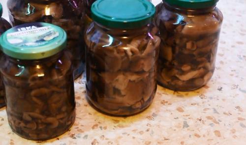 Сколько варить грибы опята. Процедура отваривания опят 13