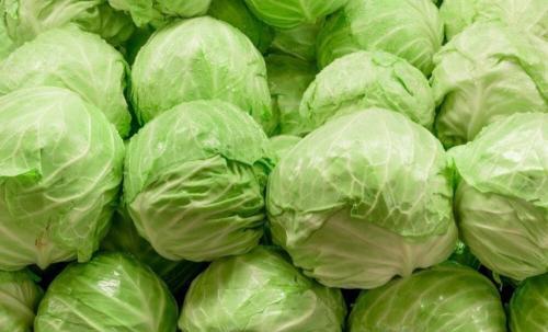 Капуста краснокочанная победа. Сорта белокочанной капусты, которые не разочаруют