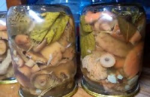 Засолка рыжиков горячим способом