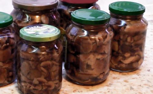 Сколько варить грибы опята. Процедура отваривания опят 04