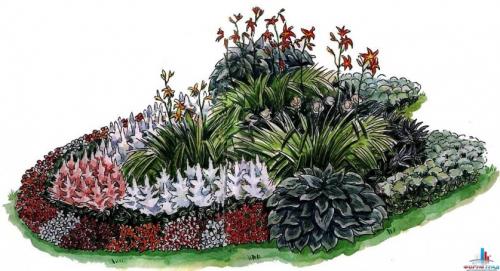 Как сделать клумбу цветущую от весны до осени. Клумбы, цветущие с ранней весны до поздней осени в закладки 91