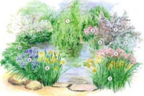 Как сделать клумбу цветущую от весны до осени. Клумбы, цветущие с ранней весны до поздней осени в закладки 91