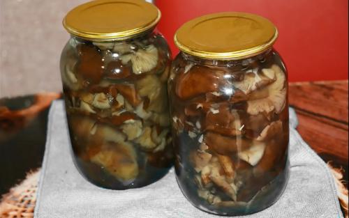 Сколько варить грибы опята. Процедура отваривания опят 14