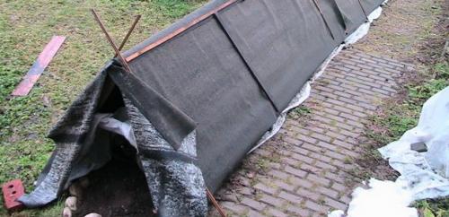 Как утеплить на зиму саженцы деревьев. Утепление ствола дерева 03 Как утеплить на зиму саженцы деревьев. Утепление ствола дерева 03