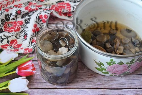 Маринованные подосиновики без стерилизации. Маринование подосиновиков на зиму без стерилизации. Маринованные подосиновики на зиму
