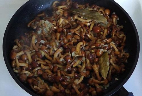 Как варить свежие грибы опята. Подготовка и термическая обработка 03