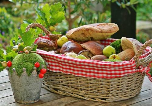 Польский гриб сушить. Как сушить грибы правильно (7 способов в домашних условиях)