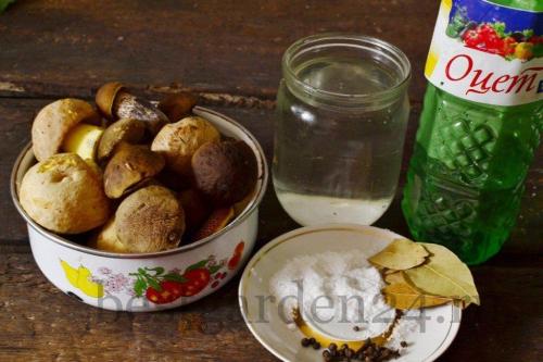 Маринад для грибов на зиму. Лесные грибы маринованные на зиму