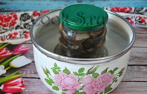 Маринованные подосиновики без стерилизации. Маринование подосиновиков на зиму без стерилизации. Маринованные подосиновики на зиму