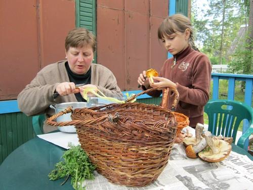 Сколько варить свинухи грибы перед жаркой. Рецепты варки, жарки и маринования свинушек 24
