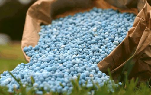 Посадка малины осенью удобрения. Подкормка минеральными удобрениями