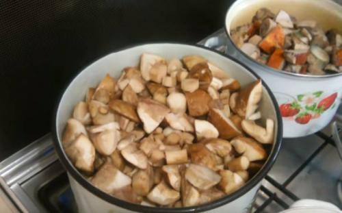 Сколько варить подберезовики. Как варить грибы: сколько варить грибы правильно по времени