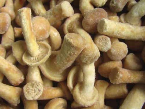 Сколько варить подберезовики. Как варить грибы: сколько варить грибы правильно по времени