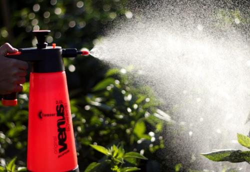 Обработка вишни осенью от болезней и вредителей. Когда нужно обрабатывать вишню от вредителей?