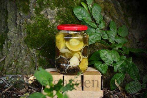 Маринад для грибов на зиму. Лесные грибы маринованные на зиму