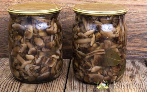 Маринад для грибов без стерилизации. Универсальные рецепты маринада для лесных грибов