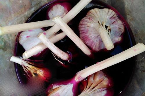 Как чистить чеснок перед посадкой. Правильная обработка чесночных головок для посадки 08