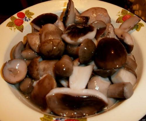 Маринад для грибов соленых. Маринованные грибы без закатки