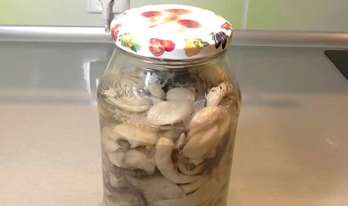 Рядовки жареные в сметане. Жареные рядовки: рецепты, как правильно приготовить грибы