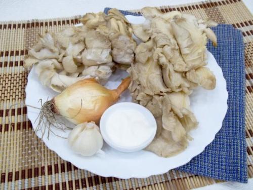 Как правильно приготовить грибы вешенки. Как правильно готовить вешенку: нюансы 03