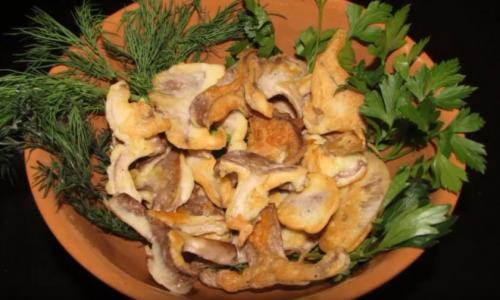 Волнушки, как готовить. Как приготовить блюда из волнушек