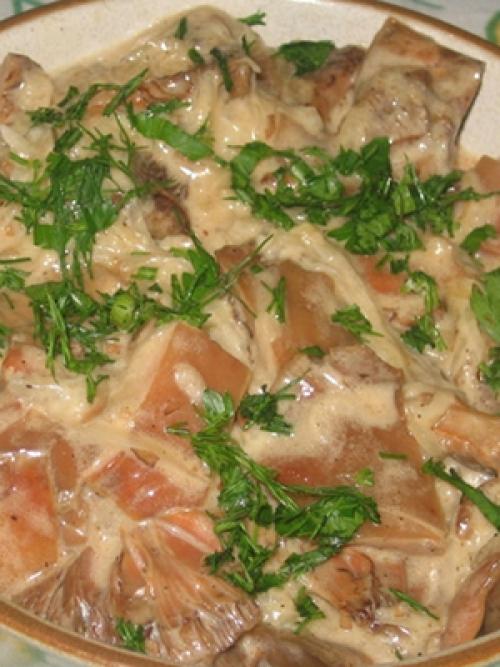 Как приготовить рыжики в сметане. Как вкусно приготовить грибы рыжики в сметане: фото, рецепты приготовления грибных блюд
