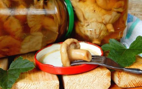 Волнушки, как готовить. Как приготовить блюда из волнушек