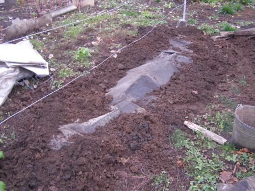 Нужно ли укрывать виноград в краснодаре. Как укрывать виноград на зиму? 5 вариантов подготовки к зимовке.