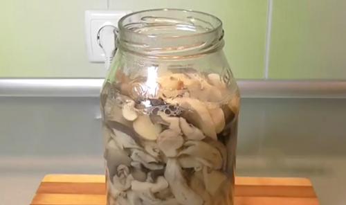 Рядовки жареные в сметане. Жареные рядовки: рецепты, как правильно приготовить грибы