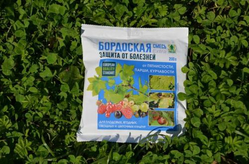 Народные средства от парши груши. Чем обработать грушу осенью от парши. Лучшие средства