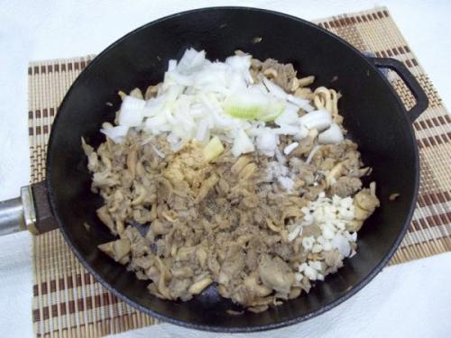 Как правильно приготовить грибы вешенки. Как правильно готовить вешенку: нюансы 07