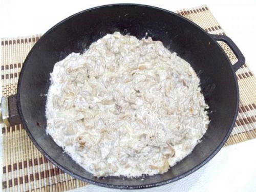 Как правильно приготовить грибы вешенки. Как правильно готовить вешенку: нюансы 10