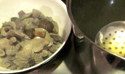 Рядовки жареные в сметане. Жареные рядовки: рецепты, как правильно приготовить грибы