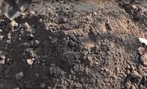 Когда укрывать молодой виноград на зиму в украине. Чем и как утеплить правильно: видео и инструкция