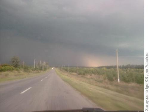 Можно ли солить рыжики и волнушки вместе. Рыжики, волнушки, грузди. Солим, едим