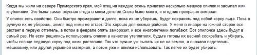 Можно ли укрывать розы на зиму опилками. Что можно укрывать на зиму опилками?
