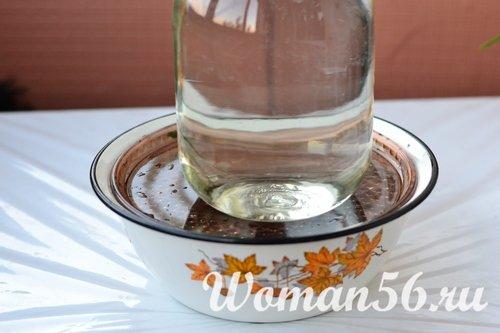 Баклажаны на зиму с кинзой и чесноком. Квашенные баклажаны с чесноком на зиму