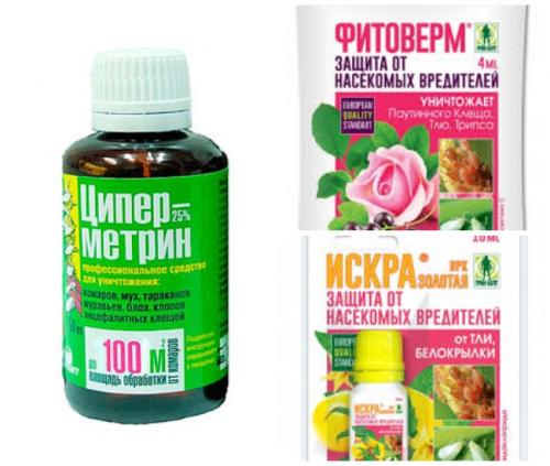 Чем обработать яблоню от тли. Специальные средства