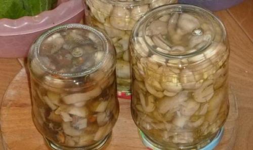 Как приготовить грибы сыроежки на зиму. Как приготовить сыроежки на зиму в банках: простые рецепты