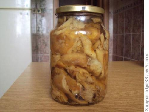 Можно ли солить рыжики и волнушки вместе. Рыжики, волнушки, грузди. Солим, едим