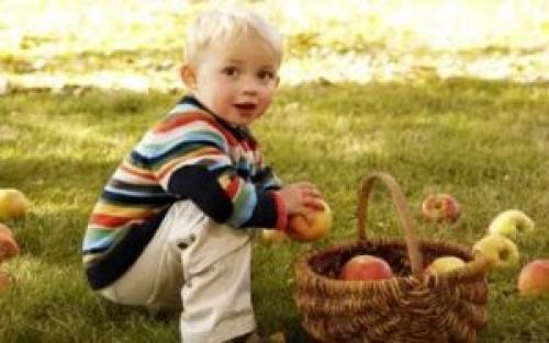 Чем обработать яблони осенью от болезней и вредителей под зиму. Как должна выполняться обработка яблонь осенью от вредителей и болезней?