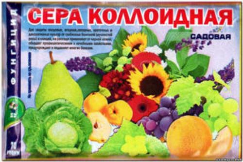 Чем обработать яблони осенью от болезней и вредителей под зиму. Как должна выполняться обработка яблонь осенью от вредителей и болезней?