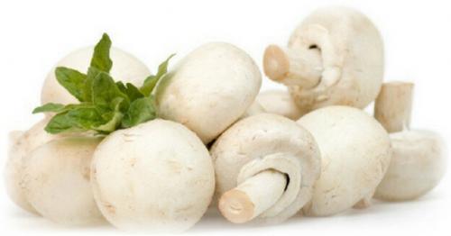 Сколько варить грибы. Сколько надо варить шампиньоны до готовности?