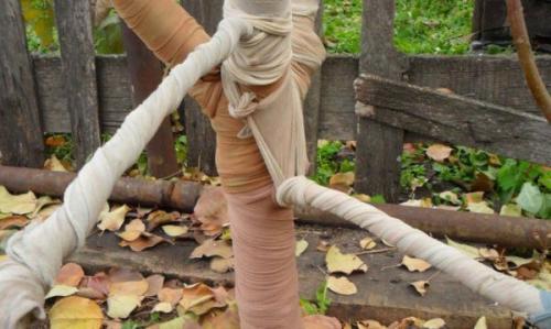 Чем укрыть саженцы на зиму от зайцев. Чем и к ак  защитить плодовые деревья от грызунов на зиму 