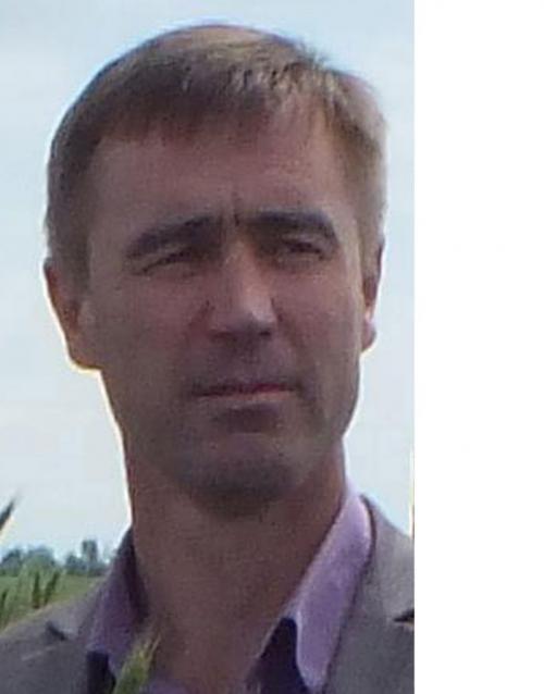 Когда у деревьев заканчивается сокодвижение. Календарь садовода: когда обрезать деревья? 01