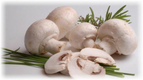 Сколько варить грибы. Сколько надо варить шампиньоны до готовности?