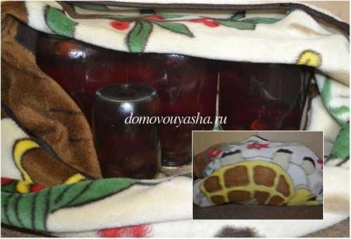 Компот из слив на зиму с косточками без стерилизации. Компот из слив на зиму на 3 литровую банку без стерилизации