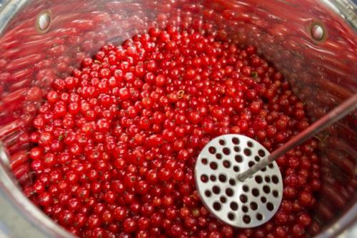 Варенье из красной смородины пятиминутка рецепт. Варенье из красной смородины: 9 простых рецептов на зиму