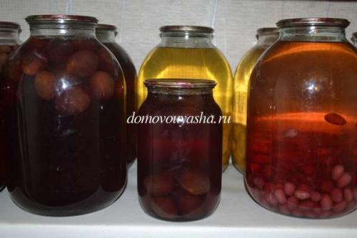 Компот из слив на зиму с косточками без стерилизации. Компот из слив на зиму на 3 литровую банку без стерилизации